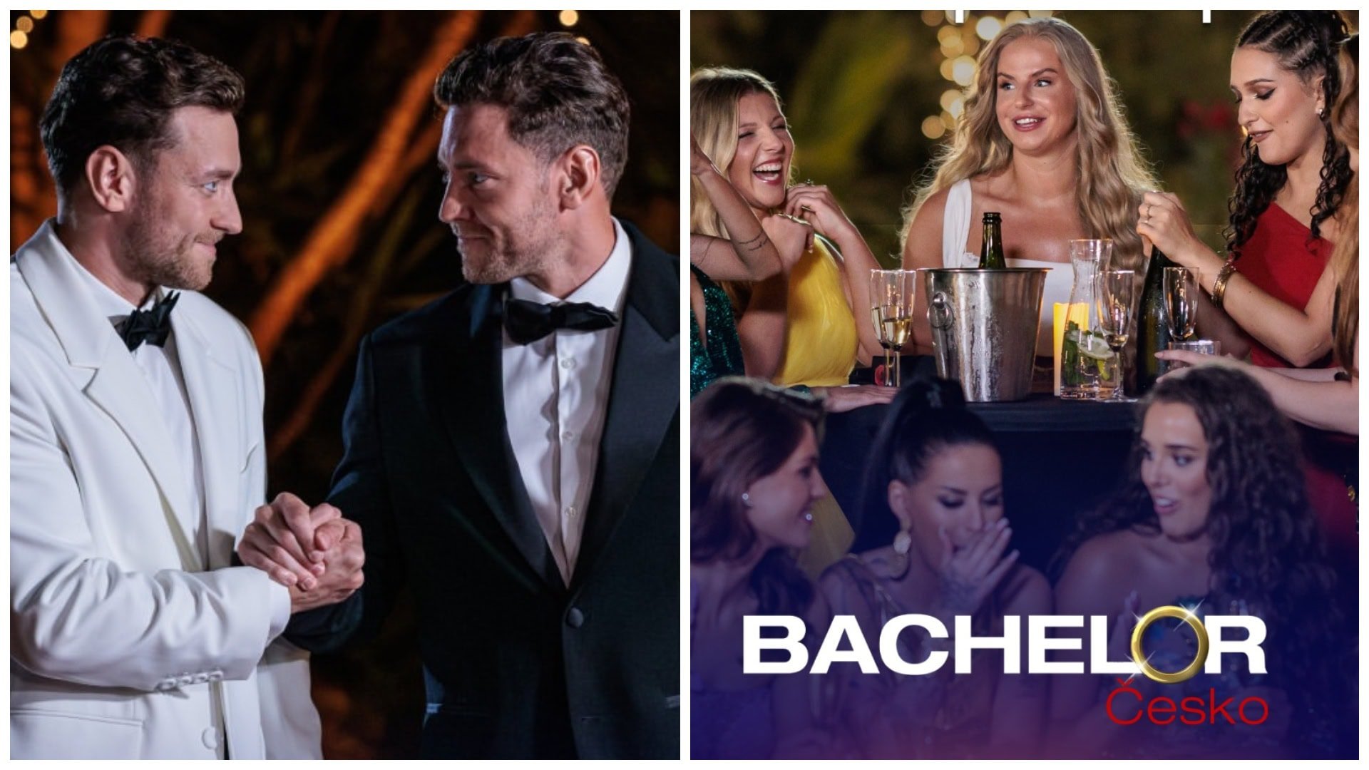 Šou Bachelor Česko