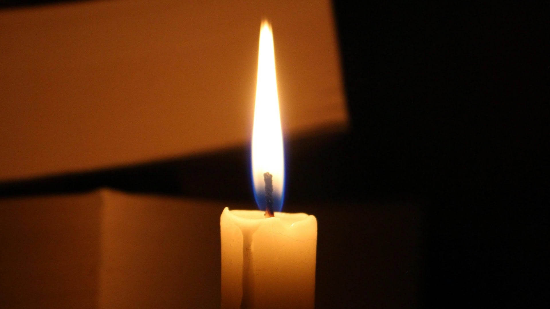 Jej filmy obdivoval celý svet