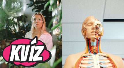 Kvíz o ľudskom tele: Si kráľovná biológie alebo si prepadla už na základke?