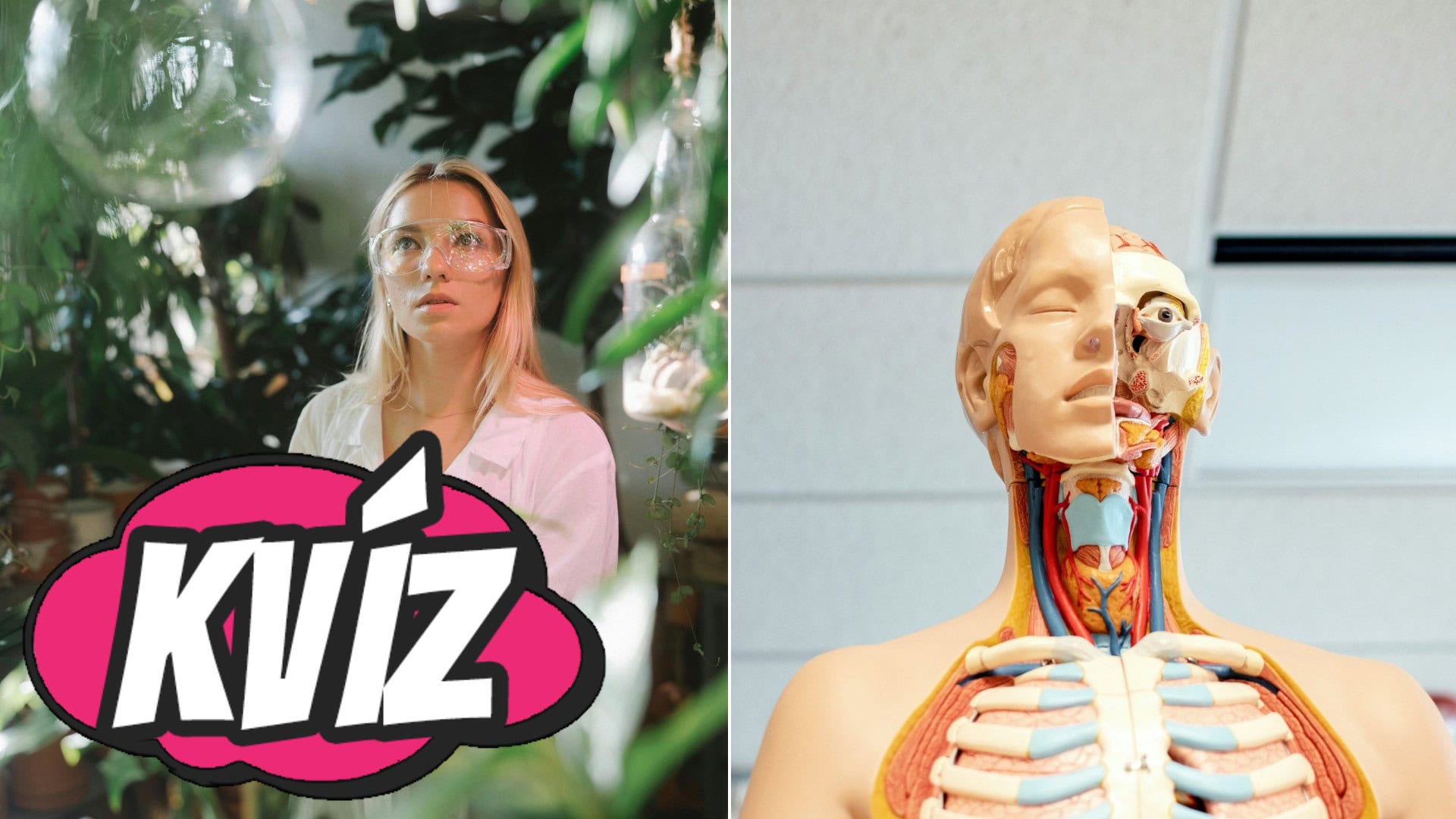 Kvíz o ľudskom tele: Si kráľovná biológie alebo si prepadla už na základke?