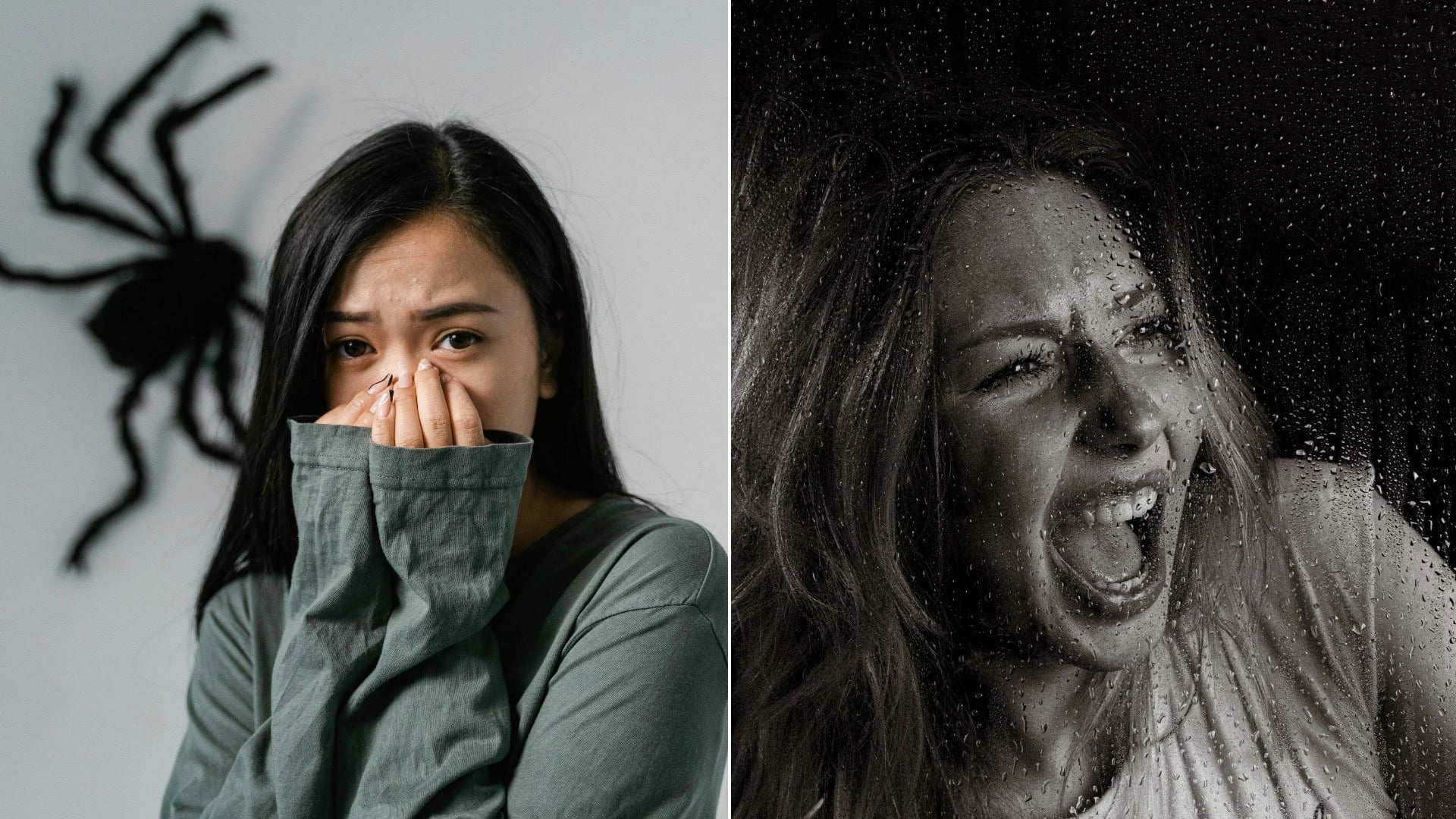 Znamenia zverokruhu s najhoršími strachmi: Týchto 5 má fóbie