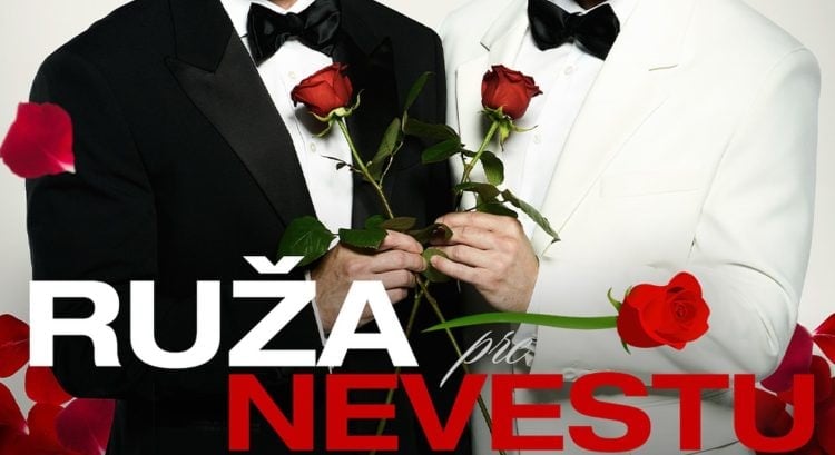 Ruža ženích