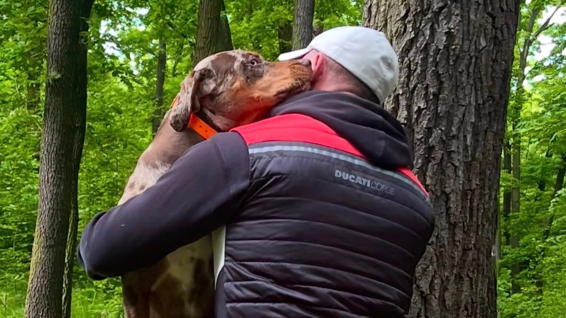 Český herec sa po 26 rokoch údajne rozchádza