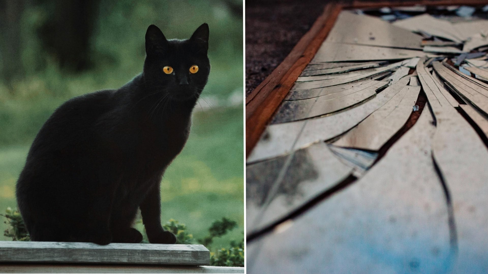 Povery o čiernej mačke a zrkadle: Veštia ti niečo horšie, než čakáš