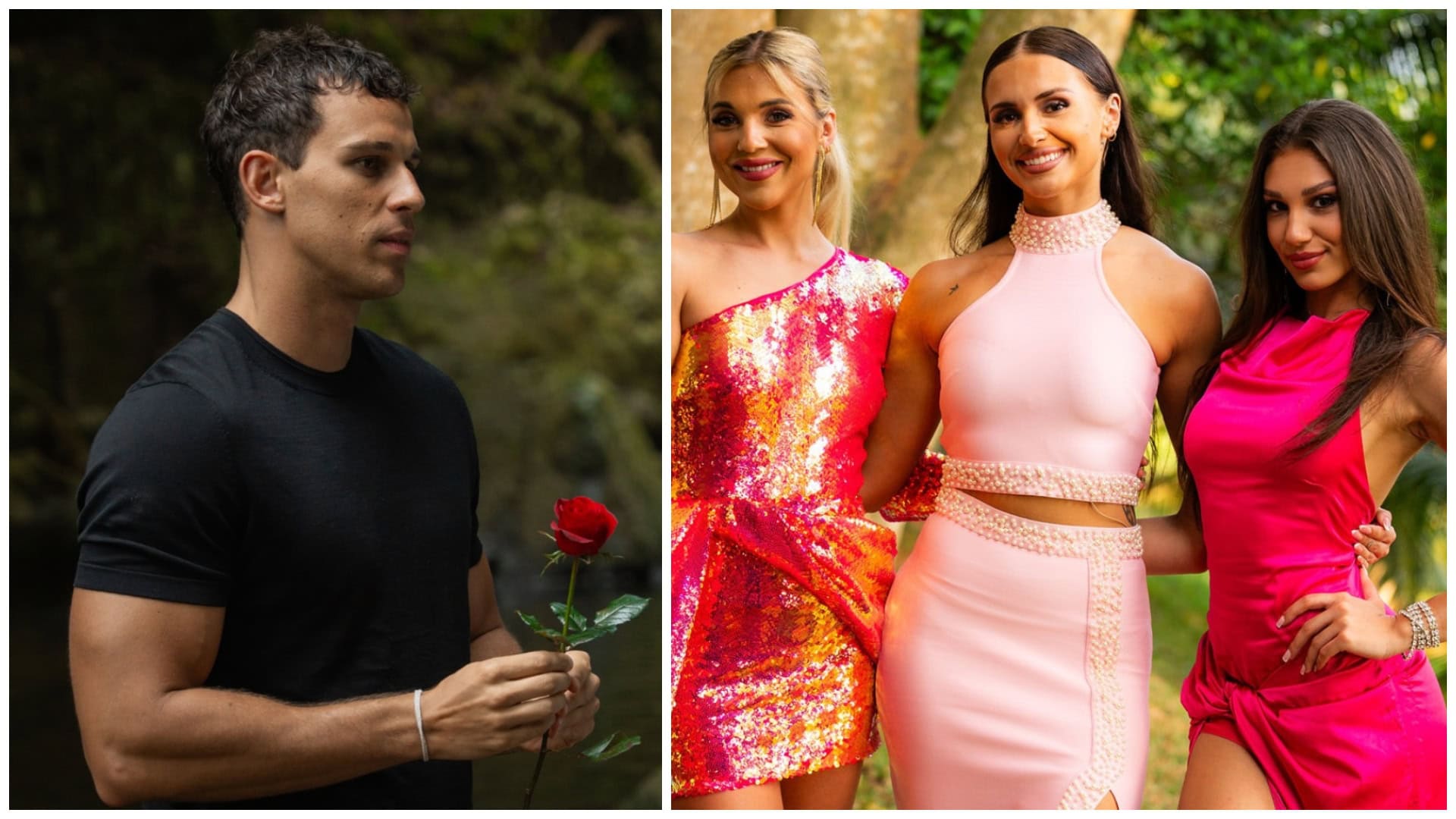 Prečo Ruža pre nevestu nebude?