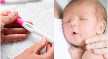 Tehotenstvo týždeň po týždni - Najdôležitejšie míľniky