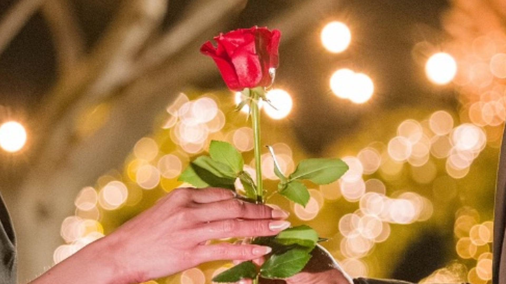 Daniela zo šou Ruža pre nevestu