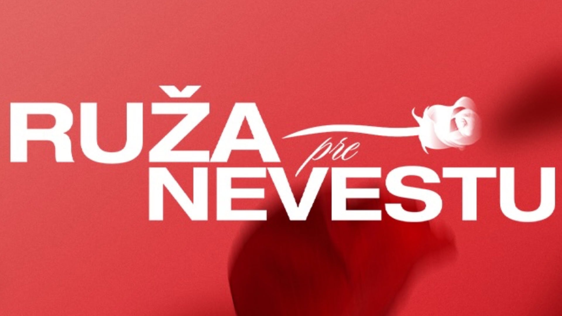 Ruža pre nevestu vzťah