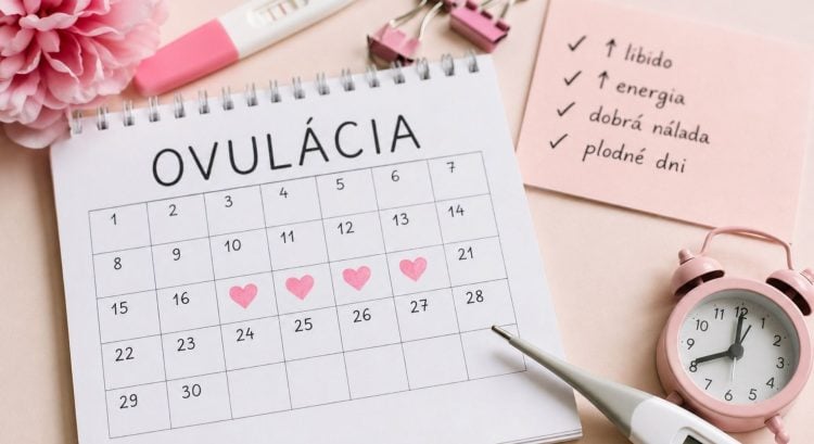 ovulácia