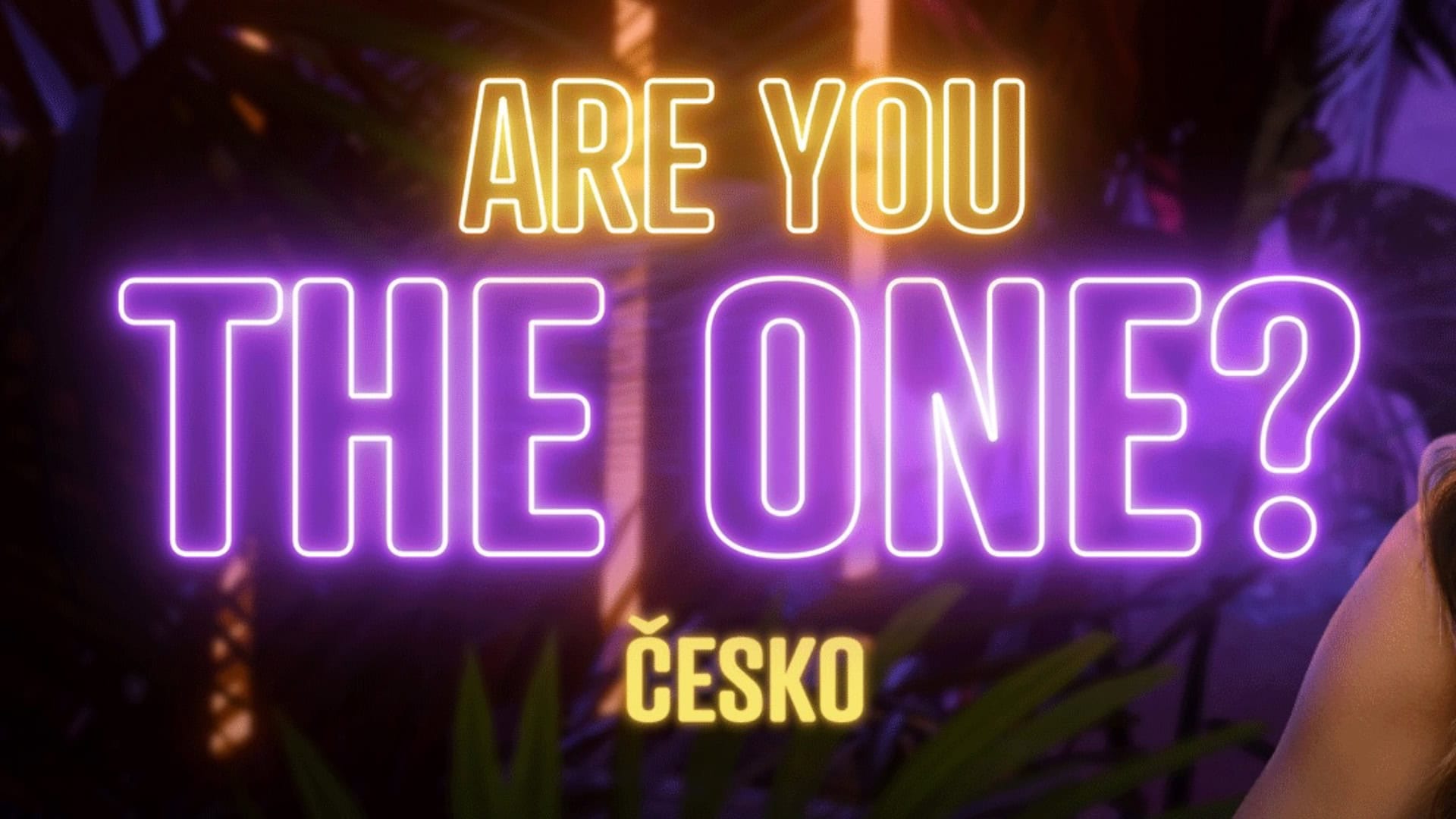 V novej reality šou bude český spevák: