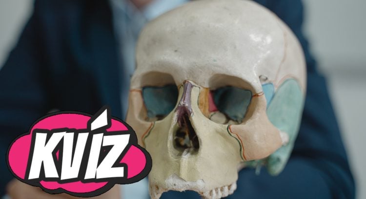 kvíz