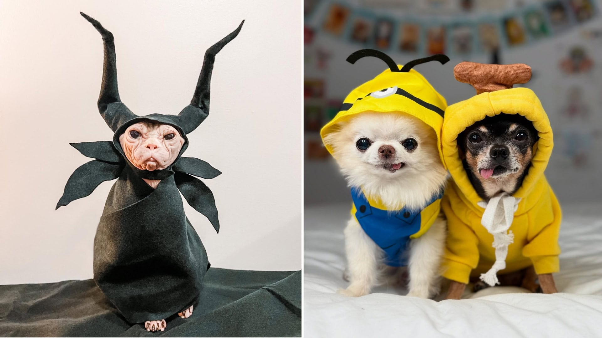 halloweenske kostýmy