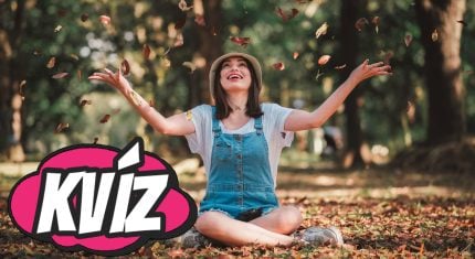 kvíz